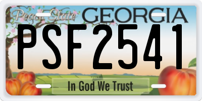 GA license plate PSF2541