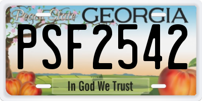 GA license plate PSF2542