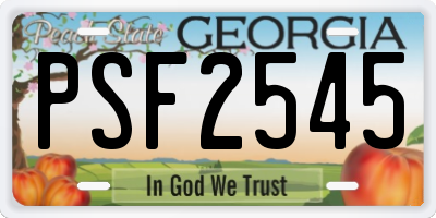 GA license plate PSF2545