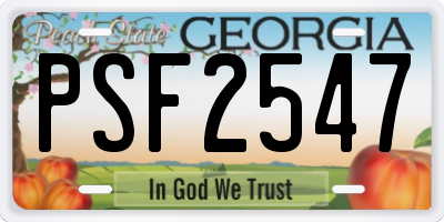 GA license plate PSF2547