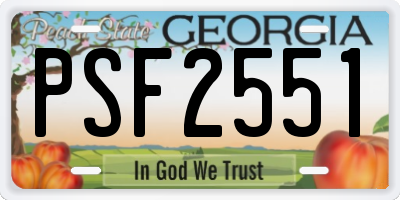 GA license plate PSF2551
