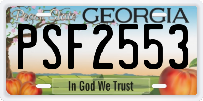 GA license plate PSF2553