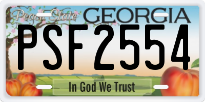 GA license plate PSF2554