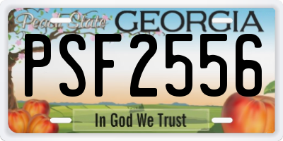 GA license plate PSF2556