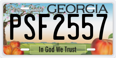 GA license plate PSF2557