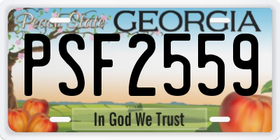 GA license plate PSF2559