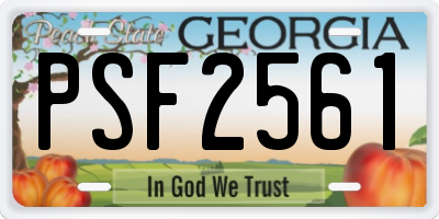 GA license plate PSF2561