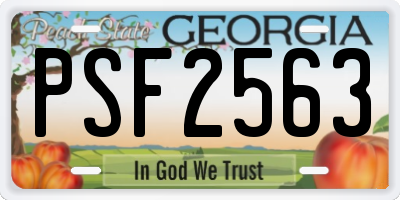 GA license plate PSF2563