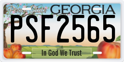 GA license plate PSF2565