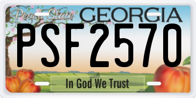 GA license plate PSF2570