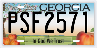 GA license plate PSF2571
