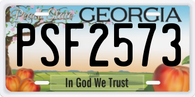 GA license plate PSF2573