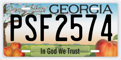 GA license plate PSF2574