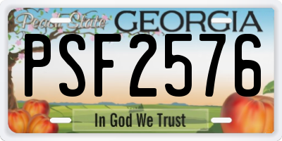 GA license plate PSF2576