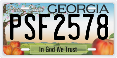 GA license plate PSF2578