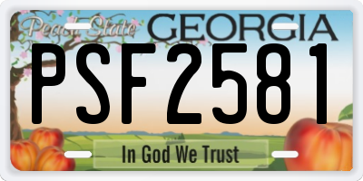 GA license plate PSF2581
