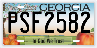 GA license plate PSF2582