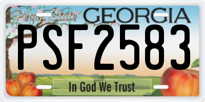 GA license plate PSF2583