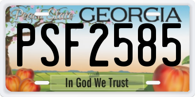 GA license plate PSF2585