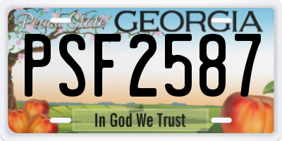 GA license plate PSF2587