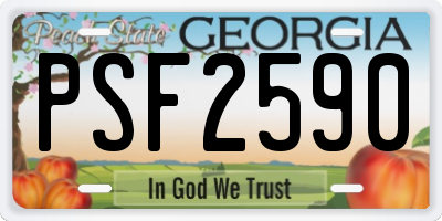 GA license plate PSF2590