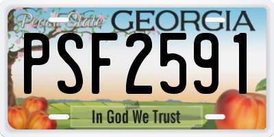 GA license plate PSF2591
