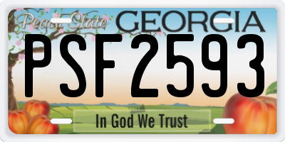 GA license plate PSF2593