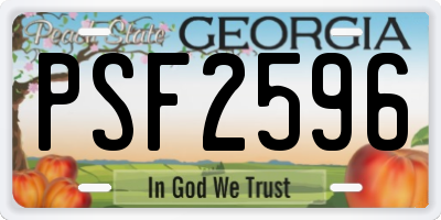 GA license plate PSF2596