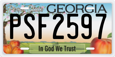GA license plate PSF2597