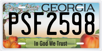 GA license plate PSF2598
