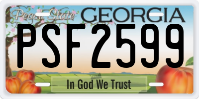 GA license plate PSF2599