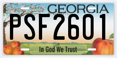 GA license plate PSF2601