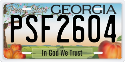 GA license plate PSF2604