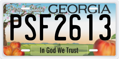 GA license plate PSF2613