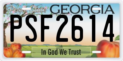 GA license plate PSF2614