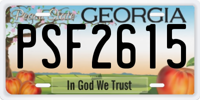 GA license plate PSF2615