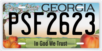 GA license plate PSF2623