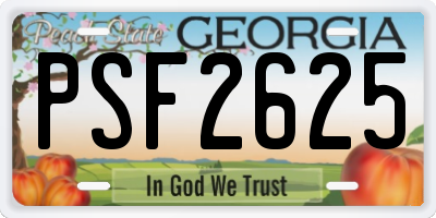 GA license plate PSF2625