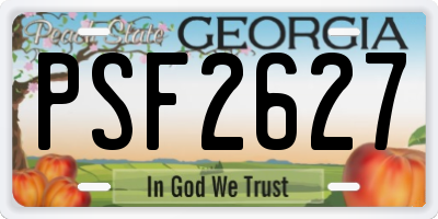 GA license plate PSF2627