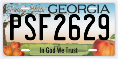 GA license plate PSF2629