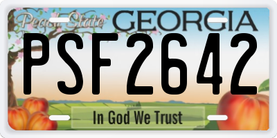 GA license plate PSF2642