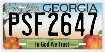 GA license plate PSF2647