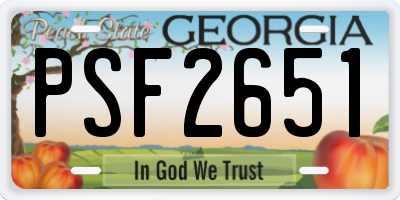 GA license plate PSF2651