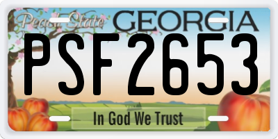 GA license plate PSF2653