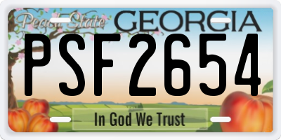 GA license plate PSF2654