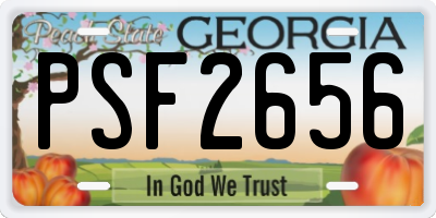 GA license plate PSF2656