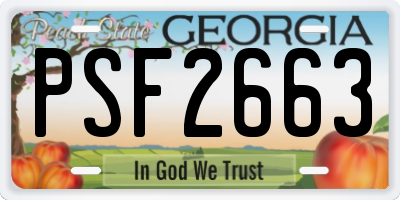 GA license plate PSF2663