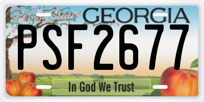 GA license plate PSF2677