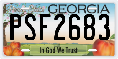 GA license plate PSF2683
