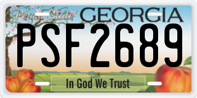 GA license plate PSF2689
